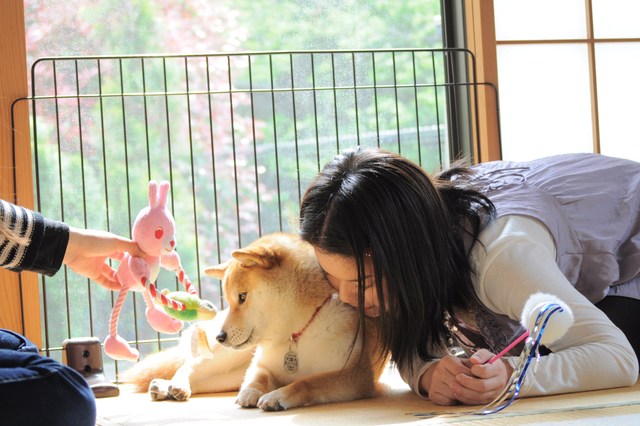 接待はつーちゃん。案内はかぼちゃん。_a0126590_20423568.jpg