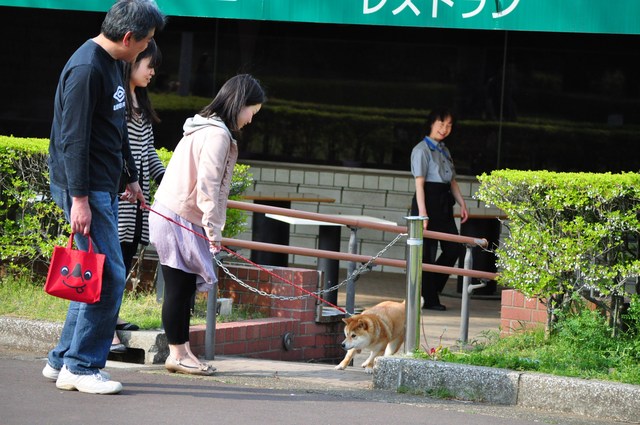 接待はつーちゃん。案内はかぼちゃん。_a0126590_20532714.jpg