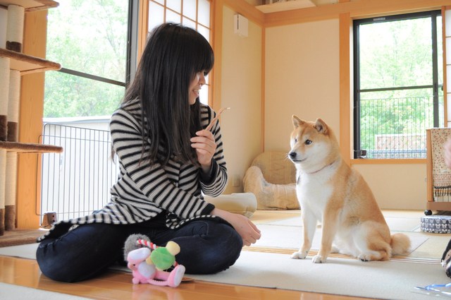 接待はつーちゃん。案内はかぼちゃん。_a0126590_21355291.jpg