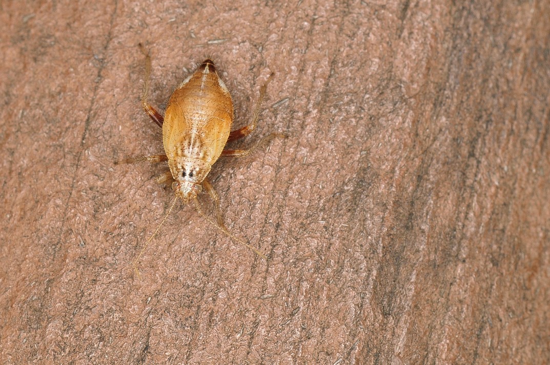 b0123591_15202163.jpg