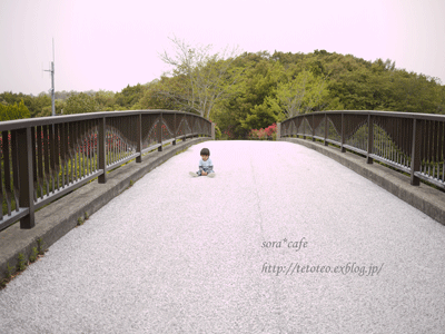 a0150193_672710.gif
