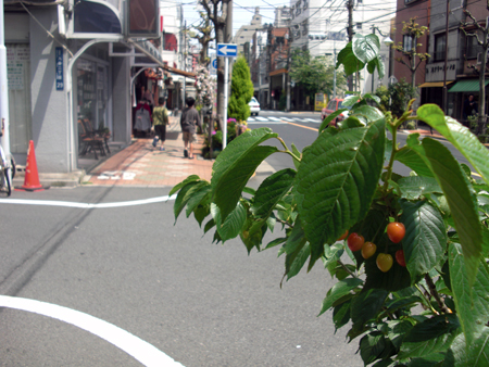 c0139897_0164382.jpg