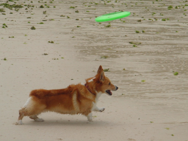 f0077097_2146134.jpg