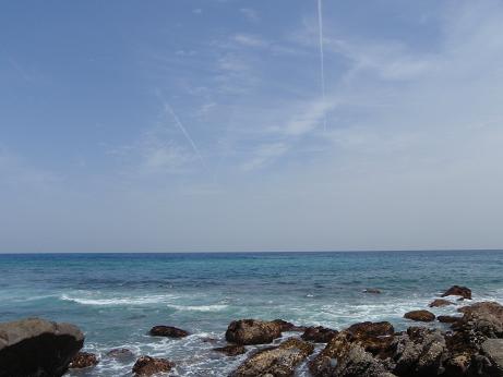 a0125598_2034863.jpg