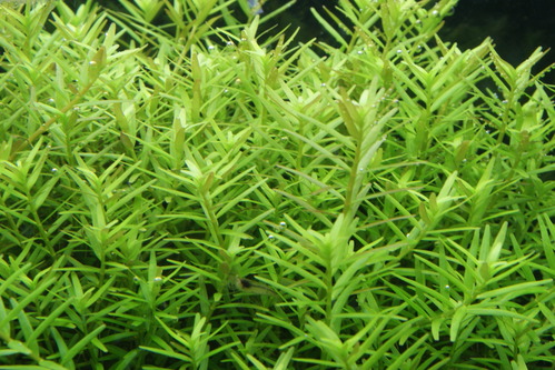 a0183301_0172245.jpg