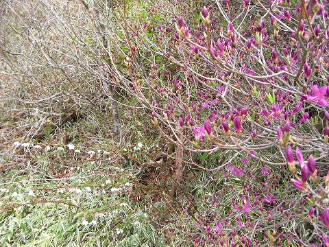 f0187402_203513.jpg