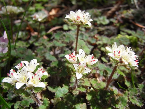 f0187402_2035181.jpg
