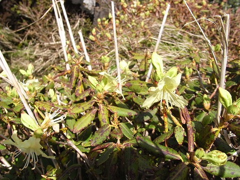 f0187402_20355416.jpg