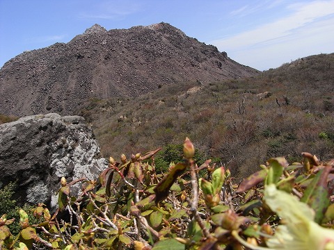 f0187402_2036277.jpg