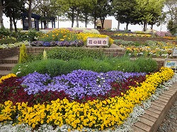 e0220205_20235024.jpg