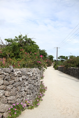 a0153206_11152717.jpg