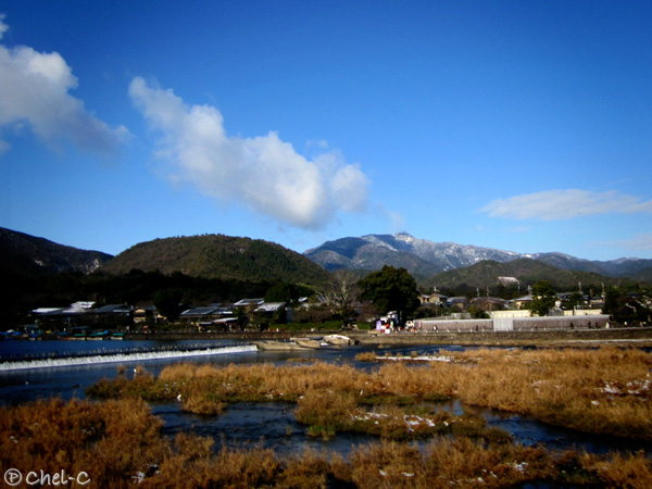 a0154706_982437.jpg