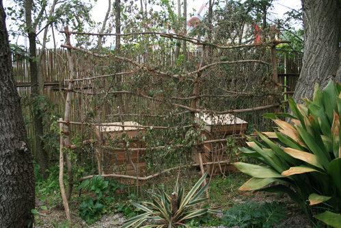a0139007_20594634.jpg