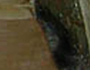 e0103408_1945470.jpg