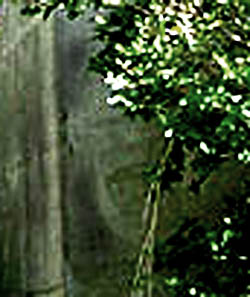 e0103408_196251.jpg