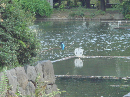 b0199912_9462511.jpg