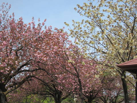 a0026413_20303893.jpg
