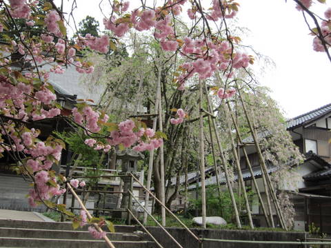 a0026413_2045487.jpg