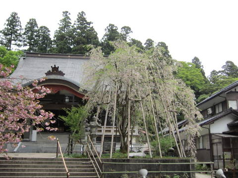 a0026413_21123085.jpg