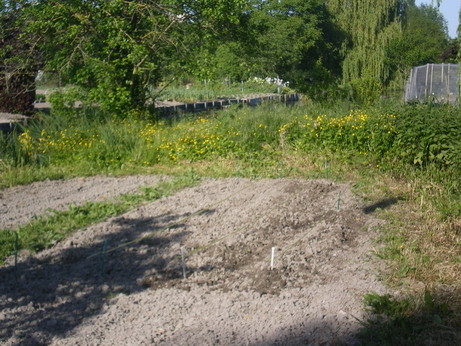 c0124619_4442249.jpg