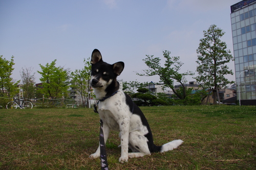 a0191121_22212696.jpg