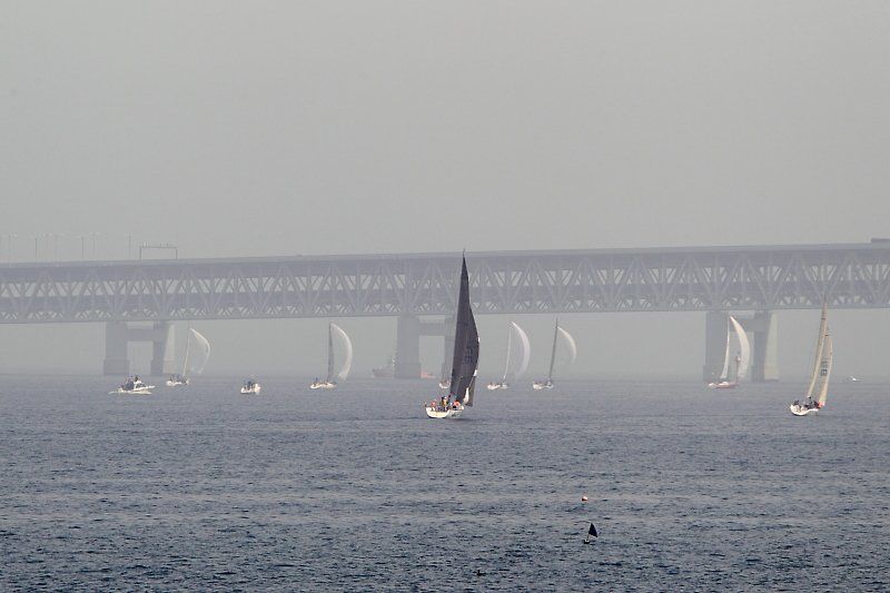 f0031423_7355079.jpg