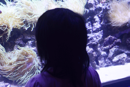 c0221827_134495.gif