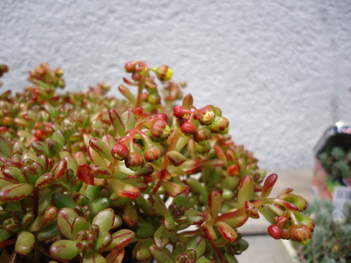 d0225727_97291.jpg