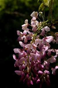 f0151327_10481347.jpg
