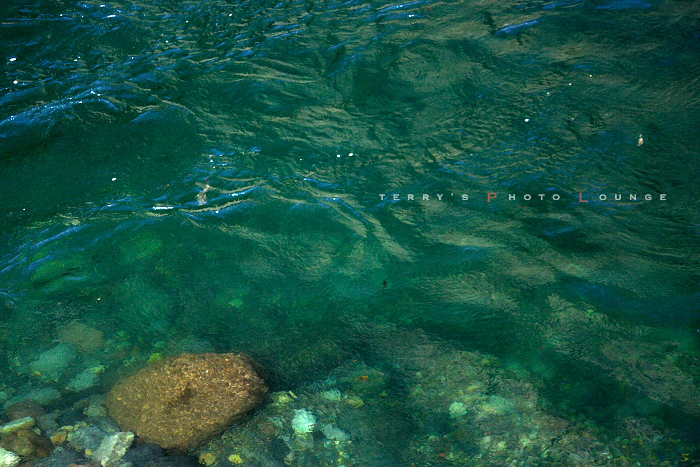 b0104731_19471051.jpg