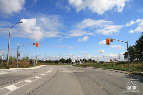 101 Tommy Thompson Park ~最後の奇跡~_c0211532_1412144.jpg