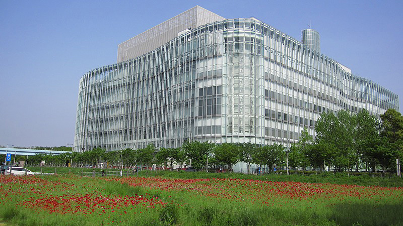 d0034336_594192.jpg
