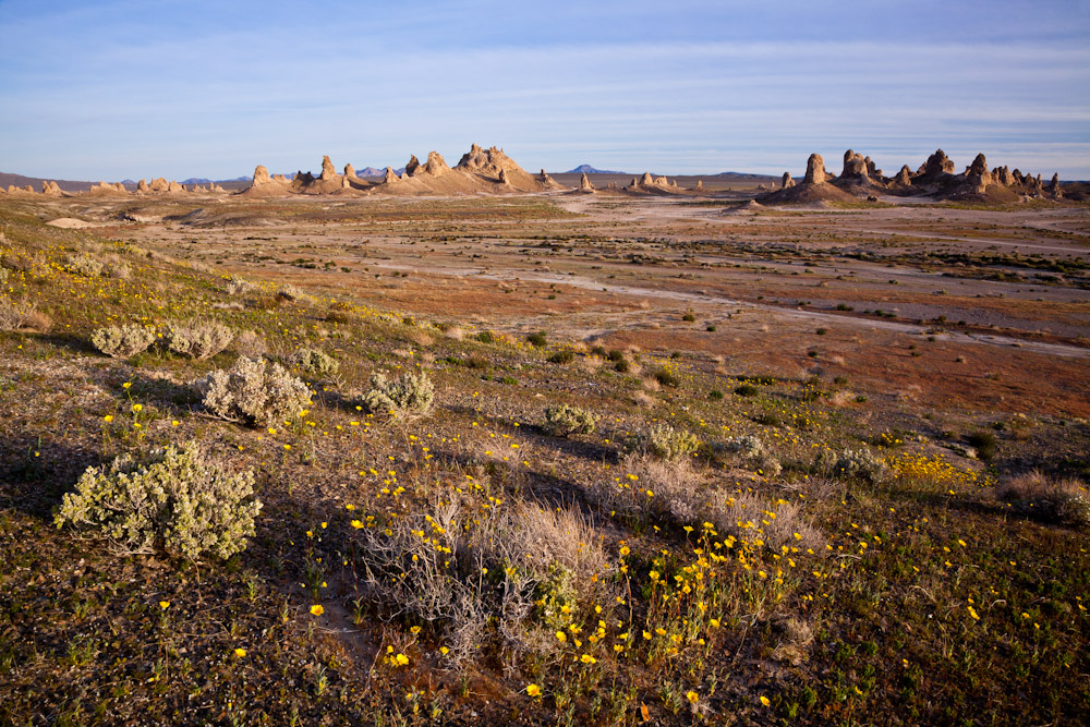c0157739_21323768.jpg