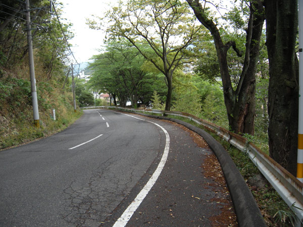 c0047341_16483960.jpg