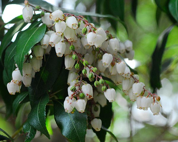 e0035757_17502443.jpg