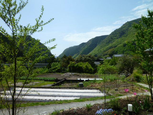 e0147757_22241338.jpg