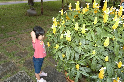 c0180460_23245589.jpg