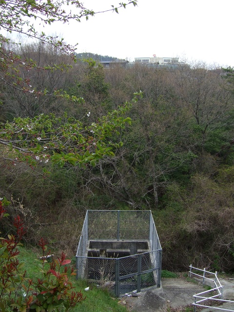 b0095061_10104229.jpg