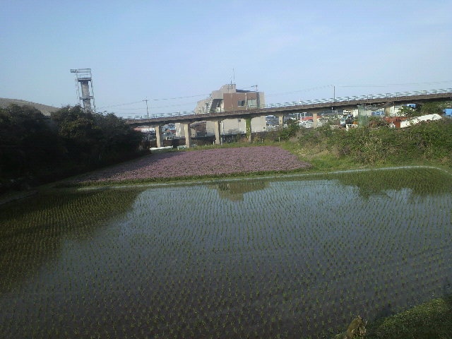 c0147261_2192624.jpg