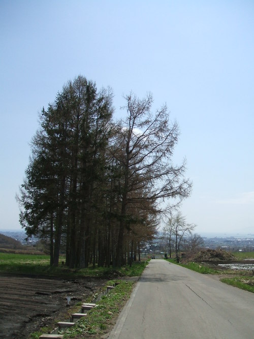 函館山の写真_b0106766_1873462.jpg