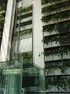 f0185066_8582762.jpg