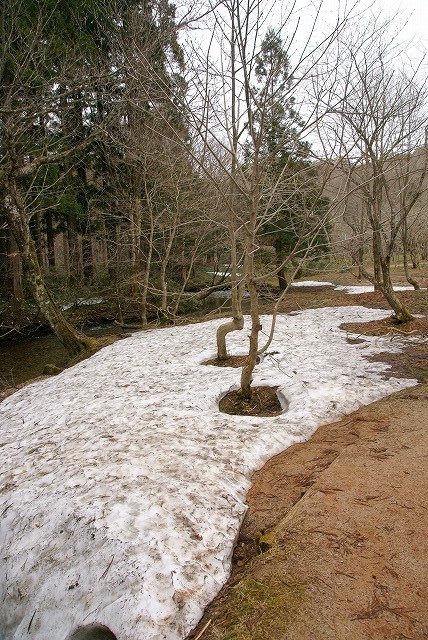 b0198768_20464390.jpg