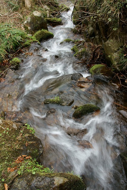 b0198768_22132441.jpg