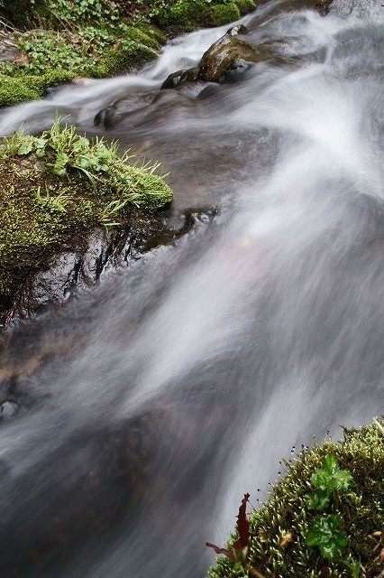 b0198768_2216271.jpg