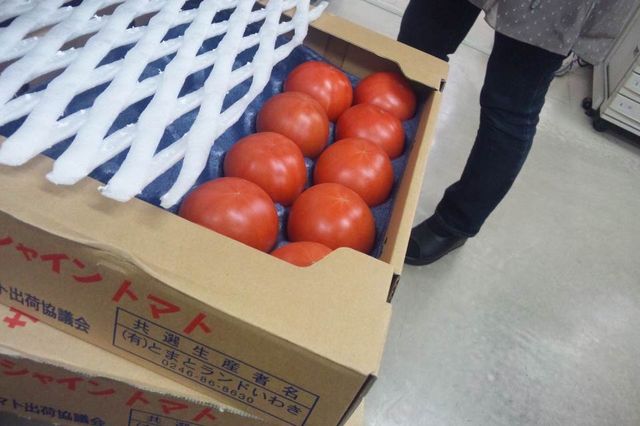 TOMATO_c0080871_23571795.jpg