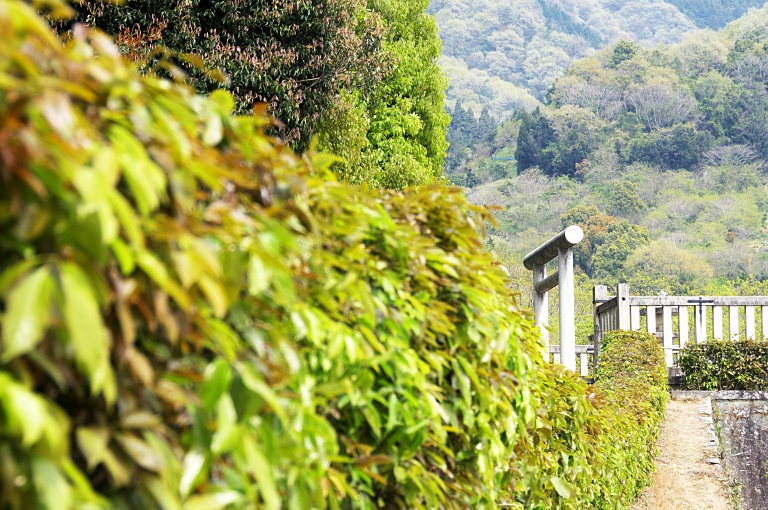 古代ロマン山之辺ポタ17-衾田陵-　20110421_a0050572_8234683.jpg