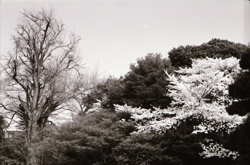 c0124773_005957.jpg