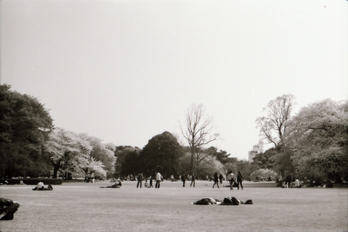 c0124773_01113.jpg