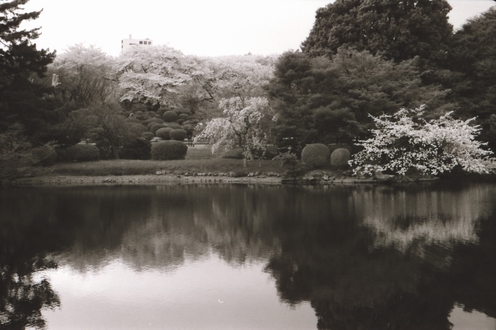 c0124773_012591.jpg
