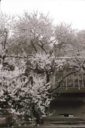 c0124773_014744.jpg